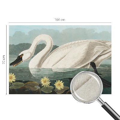 Autocolante de parede fotográfico Cisne e nenúfares