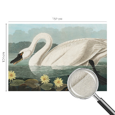 Autocolante de parede fotográfico Cisne e nenúfares