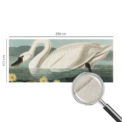 Autocolante de parede fotográfico Cisne e nenúfares
