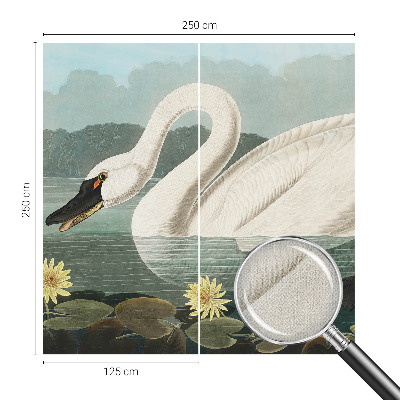 Autocolante de parede fotográfico Cisne e nenúfares