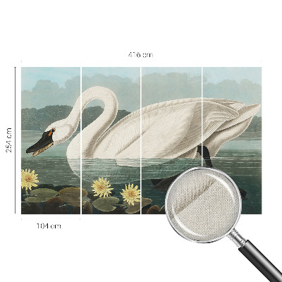 Autocolante de parede fotográfico Cisne e nenúfares