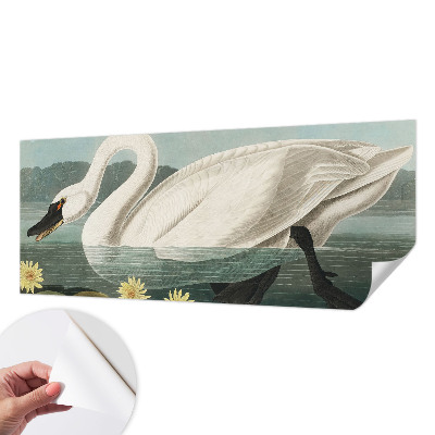Autocolante de parede fotográfico Cisne e nenúfares