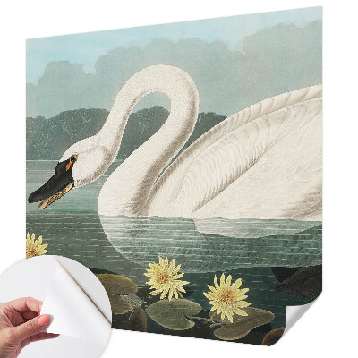 Autocolante de parede fotográfico Cisne e nenúfares