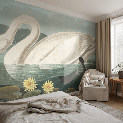 Autocolante de parede fotográfico Cisne e nenúfares