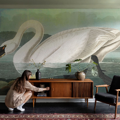 Autocolante de parede fotográfico Cisne e nenúfares
