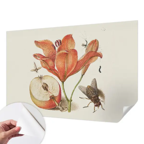 Papel de parede autocolante com ilustração botânica