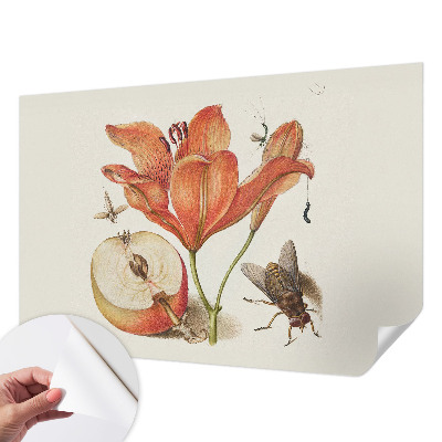 Papel de parede autocolante Ilustração botânica