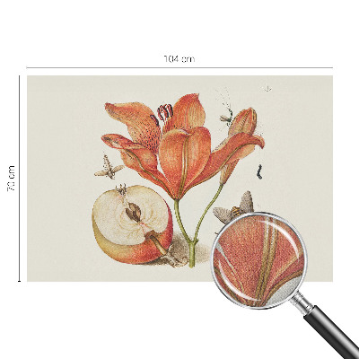 Papel de parede autocolante Ilustração botânica