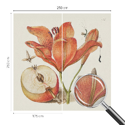 Papel de parede autocolante Ilustração botânica