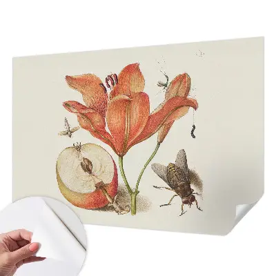 Papel de parede autocolante com ilustração botânica