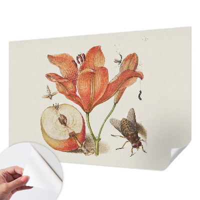 Papel de parede autocolante Ilustração botânica