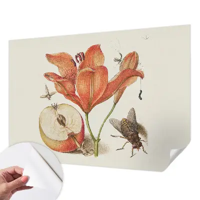 Papel de parede autocolante com ilustração botânica