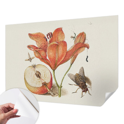 Papel de parede autocolante Ilustração botânica