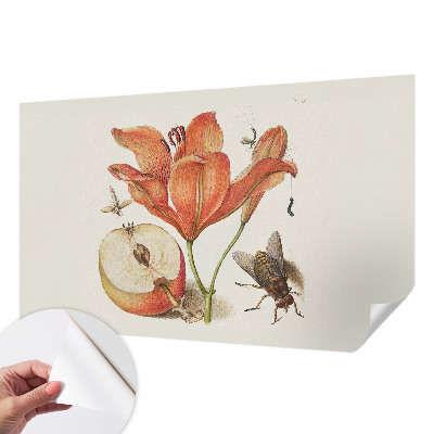Papel de parede autocolante Ilustração botânica