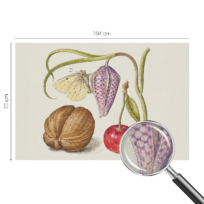 Papel de parede 3D Planta borboleta