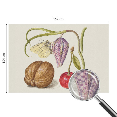 Papel de parede 3D Planta borboleta