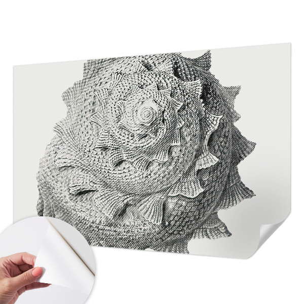 Papel de parede infantil A arte da natureza