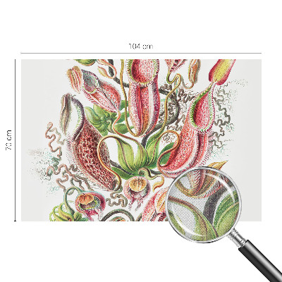 Papel de parede autocolante para sala Detalhes da planta