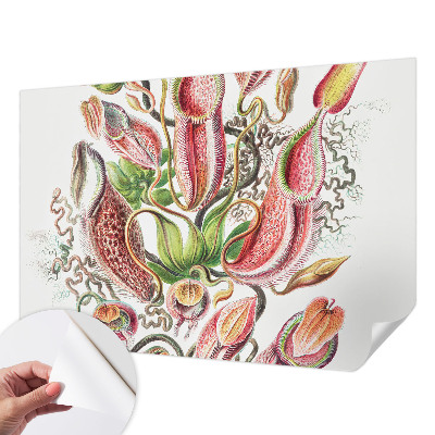 Papel de parede autocolante para sala Detalhes da planta