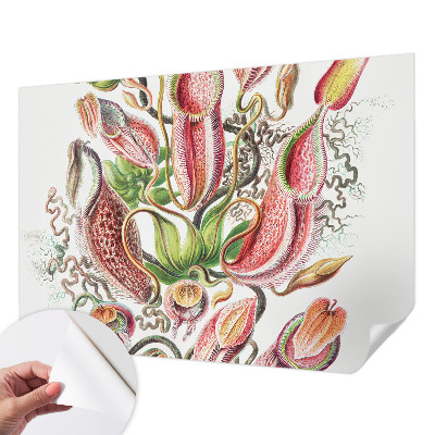 Papel de parede autocolante para sala Detalhes da planta