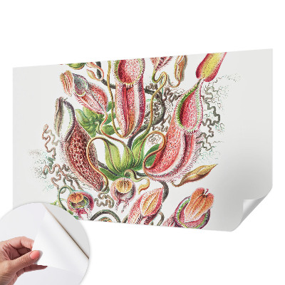 Papel de parede autocolante para sala Detalhes da planta