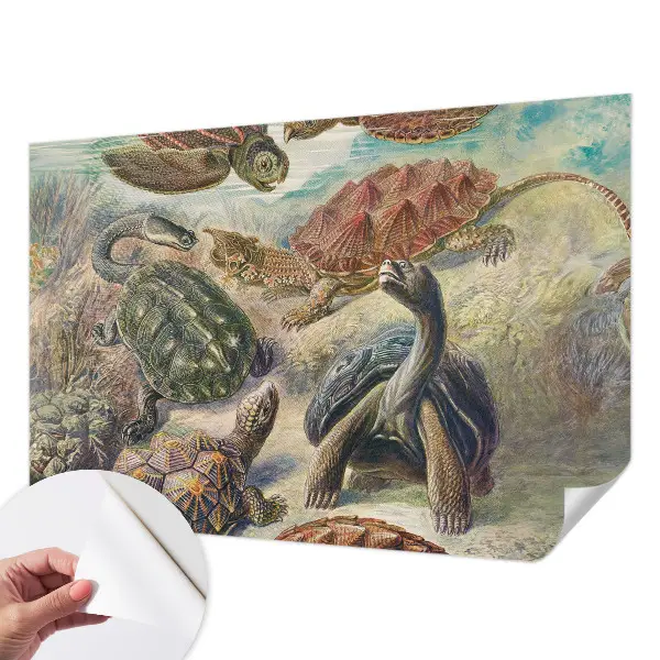 Papel de parede 3D com estampa de tartarugas