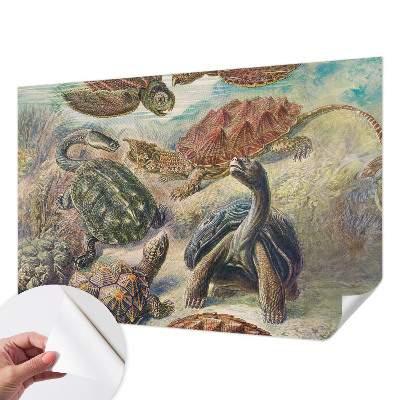 Papel de parede 3D com estampa de tartarugas