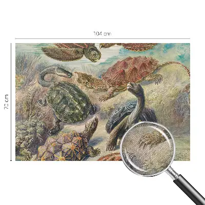 Papel de parede 3D com estampa de tartarugas