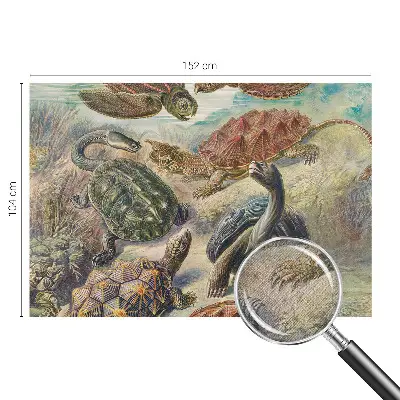 Papel de parede 3D com estampa de tartarugas
