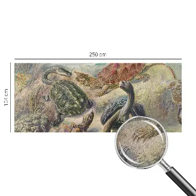 Papel de parede 3D com estampa de tartarugas