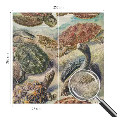Papel de parede 3D com estampa de tartarugas