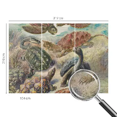 Papel de parede 3D com estampa de tartarugas