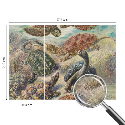 Papel de parede 3D Fauna de tartarugas