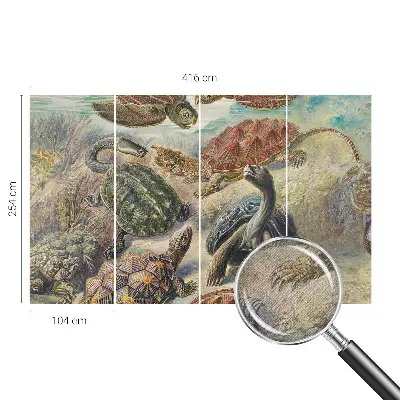 Papel de parede 3D com estampa de tartarugas