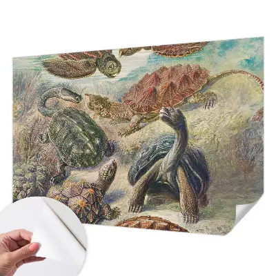 Papel de parede 3D com estampa de tartarugas