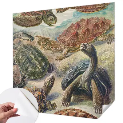 Papel de parede 3D com estampa de tartarugas