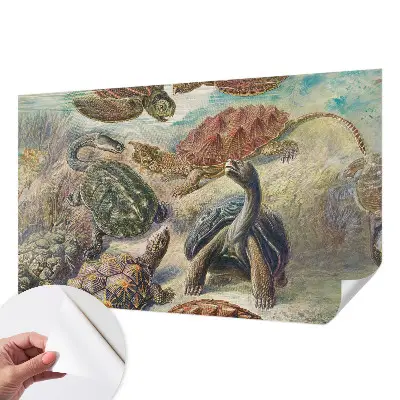 Papel de parede 3D com estampa de tartarugas