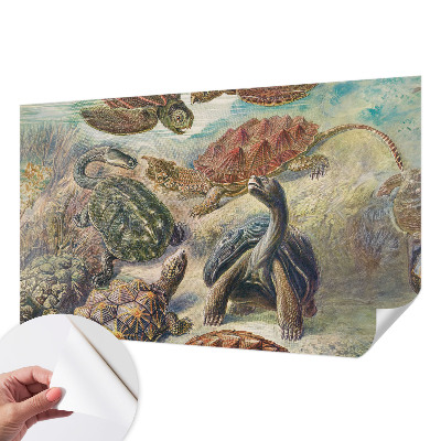 Papel de parede 3D Fauna de tartarugas