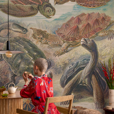 Papel de parede 3D Fauna de tartarugas