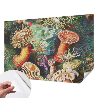 Papel de parede para criança com padrão de anêmonas em estilo sofisticado