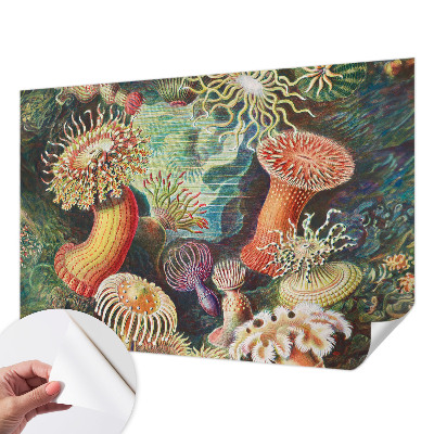Papel de parede para criança com padrão de anêmonas em estilo sofisticado