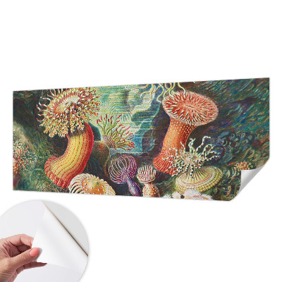 Papel de parede para criança com padrão de anêmonas em estilo sofisticado