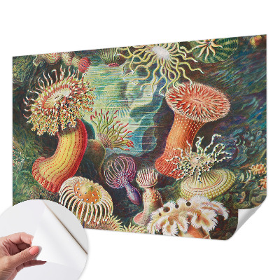 Papel de parede para criança com padrão de anêmonas em estilo sofisticado