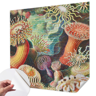 Papel de parede para criança com padrão de anêmonas em estilo sofisticado