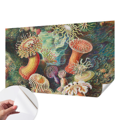 Papel de parede para criança com padrão de anêmonas em estilo sofisticado