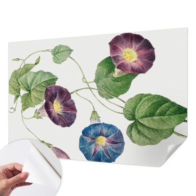 Papel de parede autocolante com padrão floral elegante
