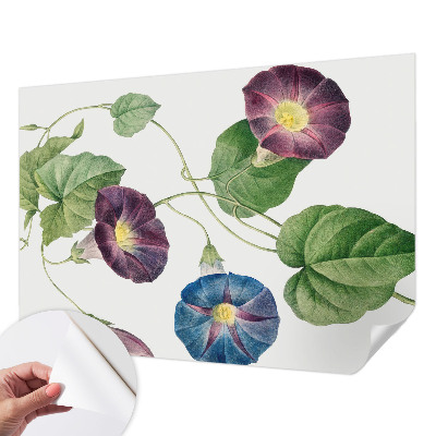 Papel de parede autocolante com padrão floral elegante