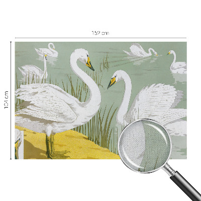 Papel de parede infantil Lago dos Cisnes