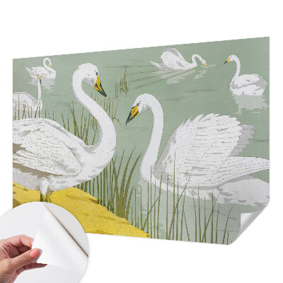 Papel de parede infantil Lago dos Cisnes