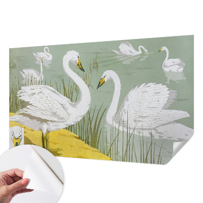 Papel de parede infantil Lago dos Cisnes